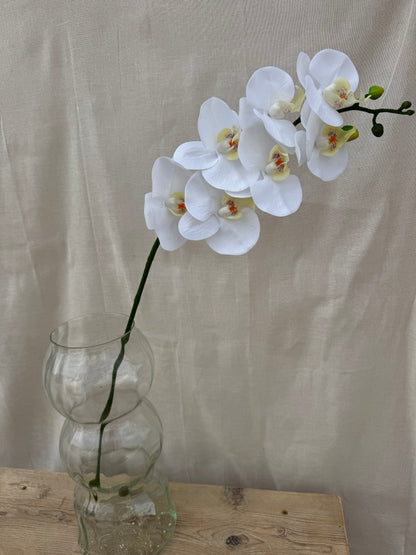 Real Touch Phaelonopsis Orchid White