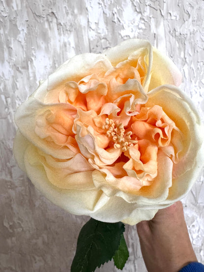 Yellow Real Touch Garden Rose