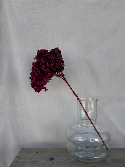 Preserved Hydrangea Cherry