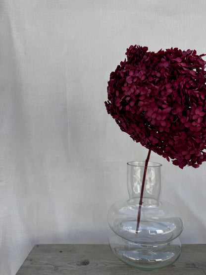 Preserved Hydrangea Cherry