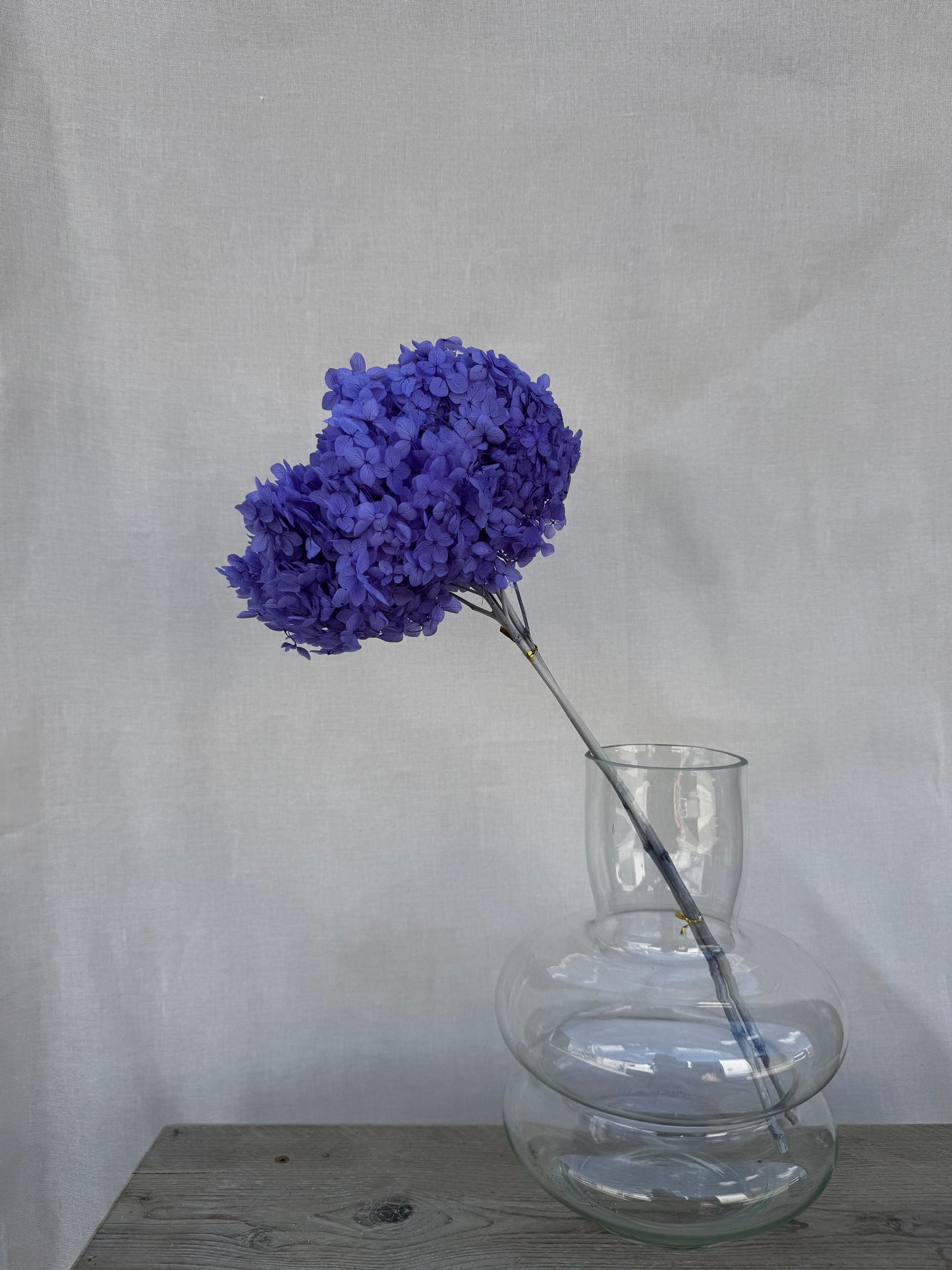 Preserved Hydrangea Lilac