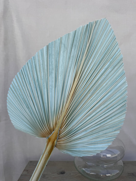 XL Palm Pale Blue