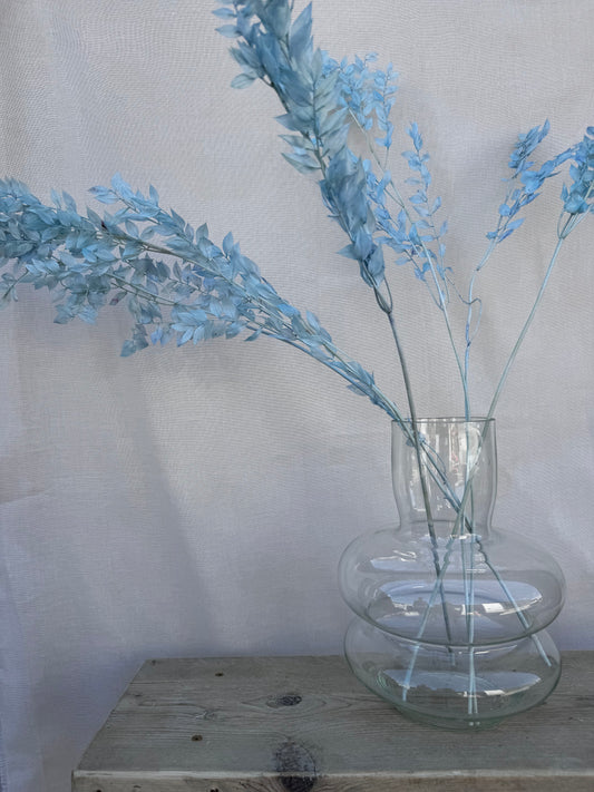 Preserved Soft Ruscus Baby Blue