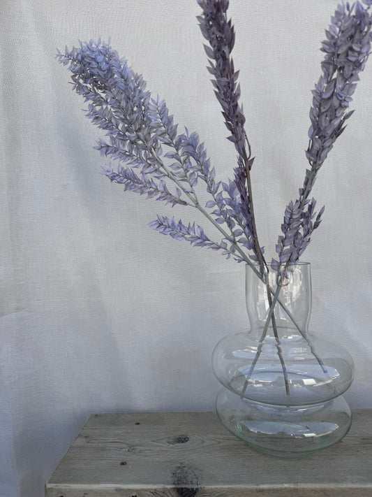 Preserved Soft Ruscus Lilac