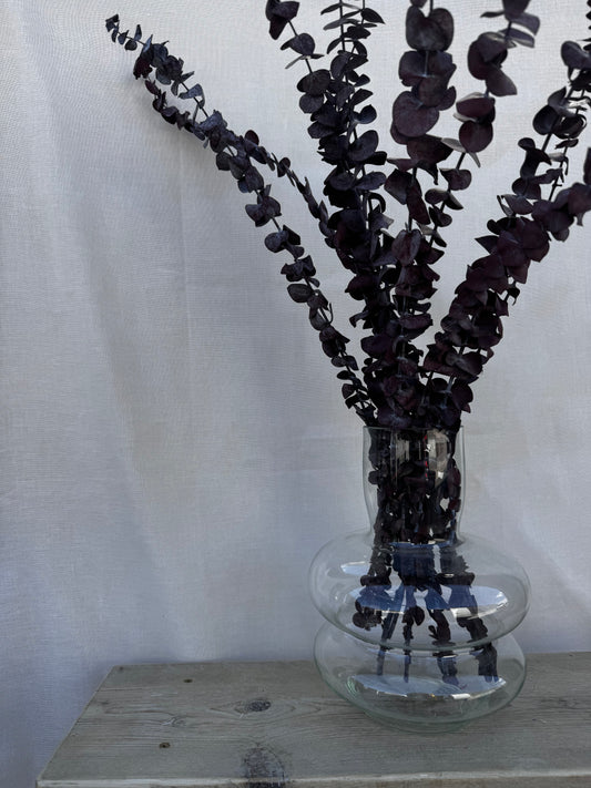 Preserved Eucalyptus Deep Purple (Baby Blue)