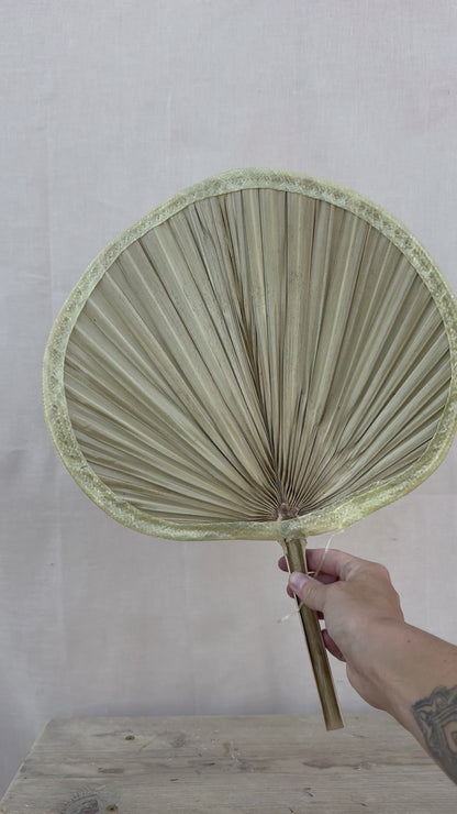 Palm Fans Type One