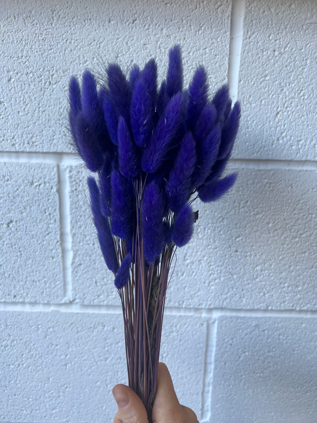 Royal Blue Bunny Tails